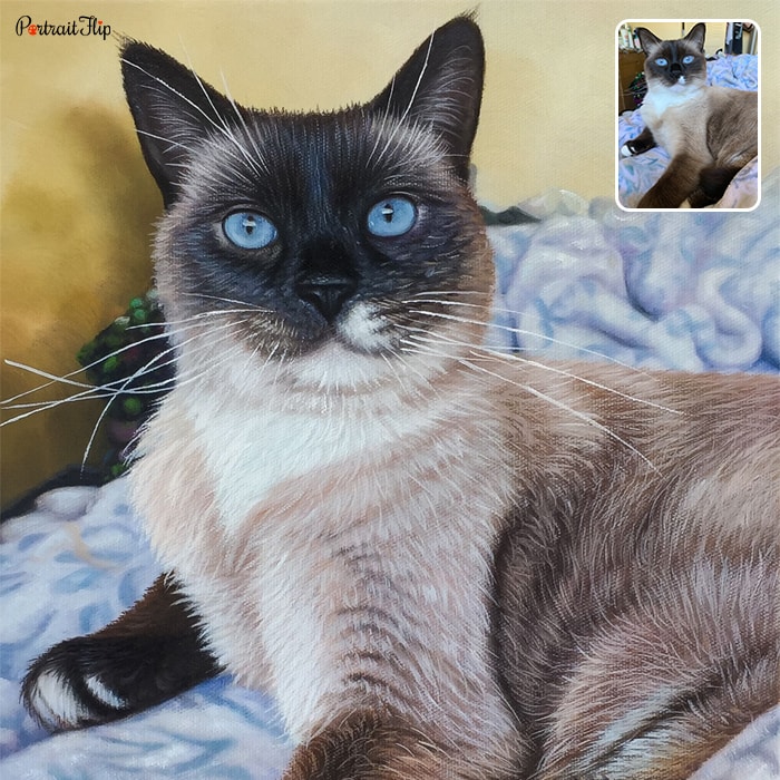 Acrylic painting of a cat’s close-up